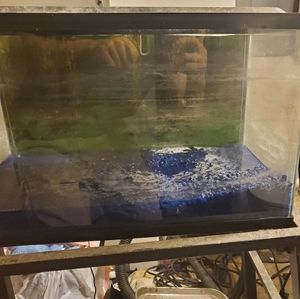 10 Gallon Aquarium